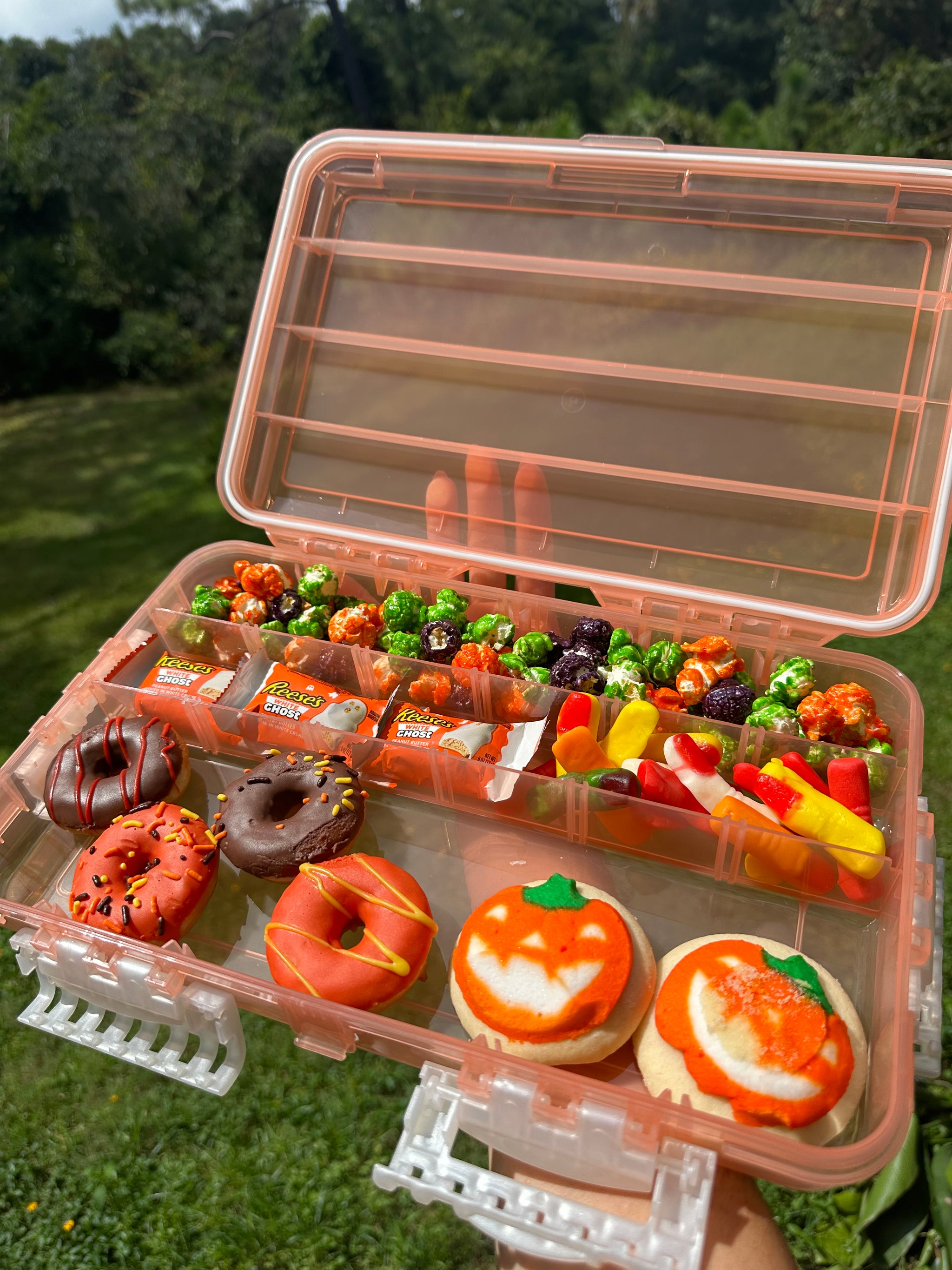 Food Storage Bpa Free Tackle Box Snackle Box Charcuterie Container